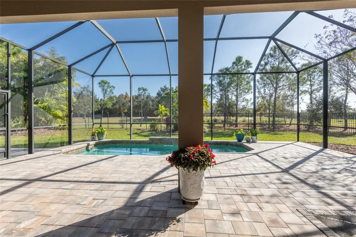 View from the back of the home