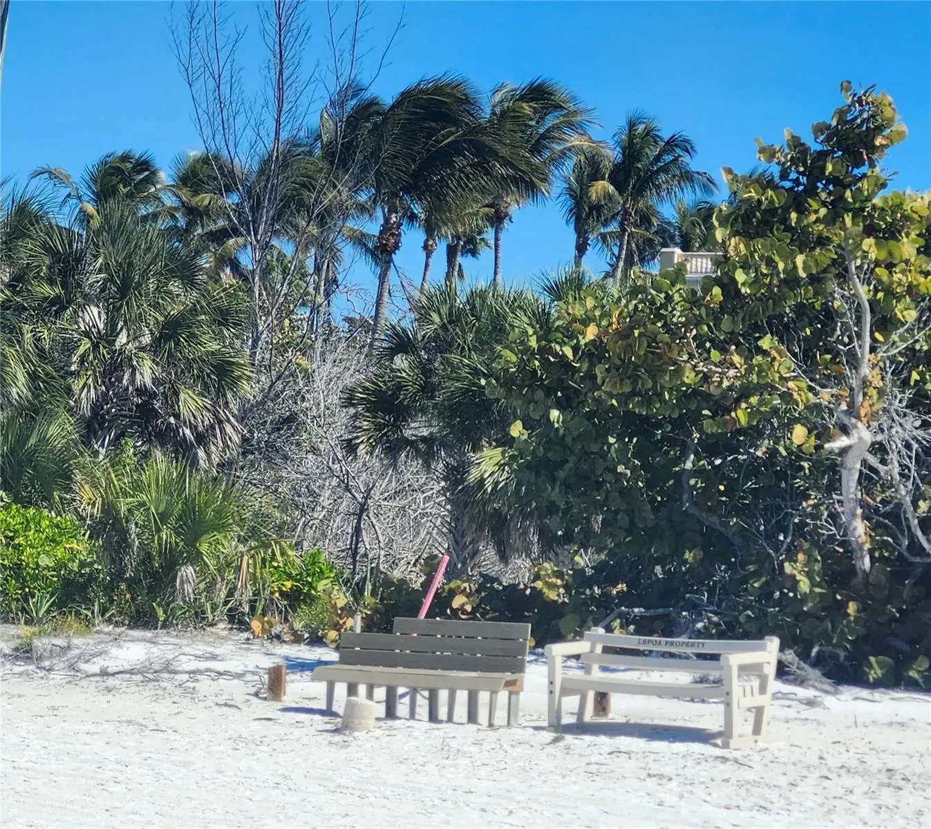 Community Beach