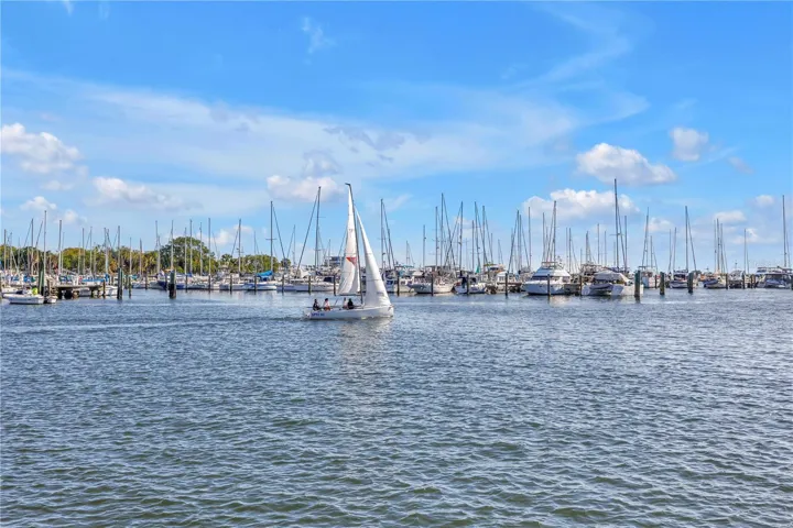 Watch the sailboats glide by