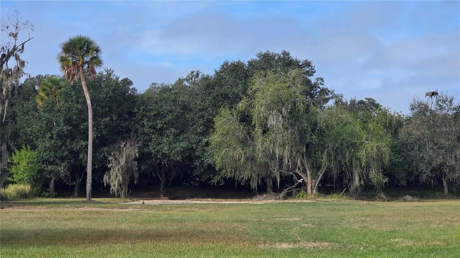 Back Yard of Lot