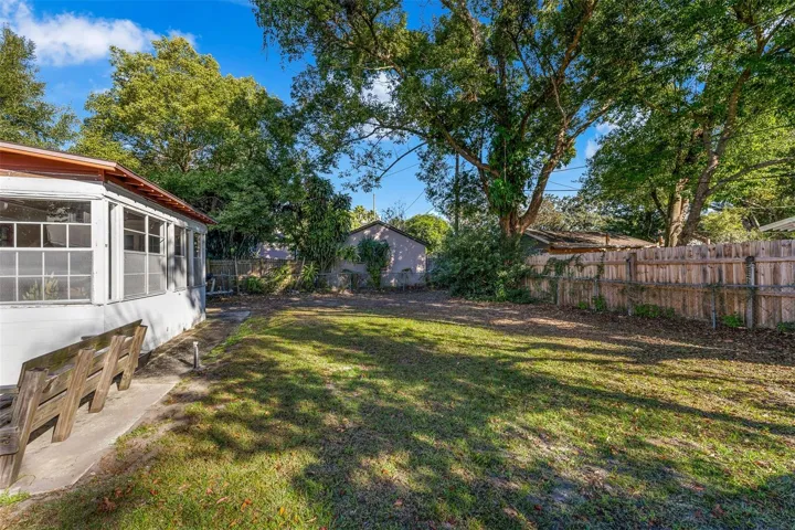 Backyard
