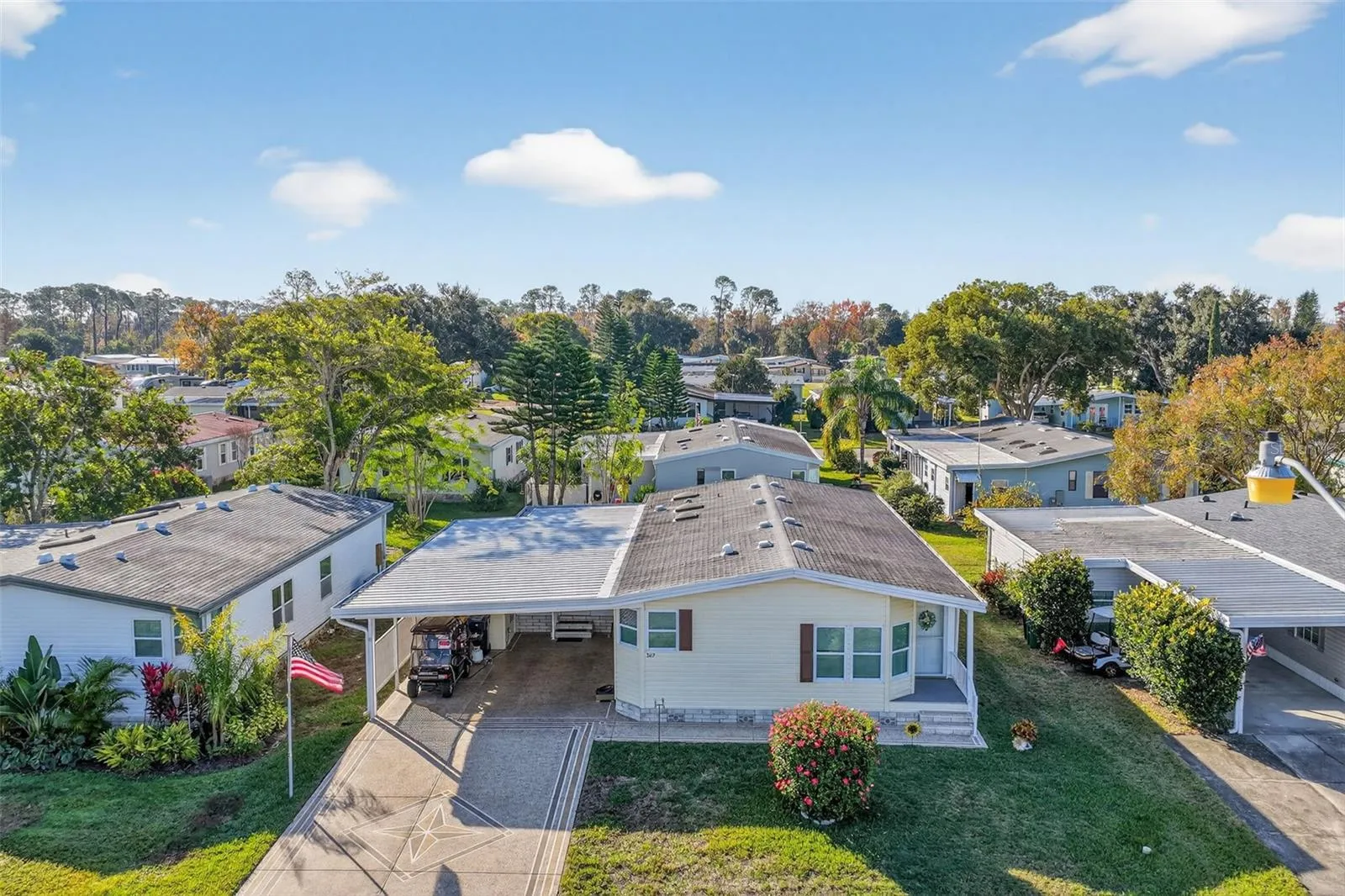 Drone of the Home