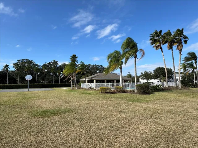 Pool and basketball court area