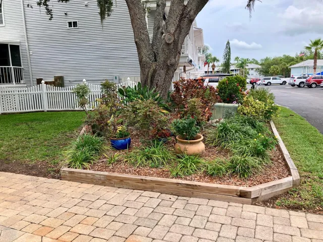 Front shared garden