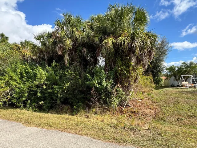 Welcome to Sapelo Ave