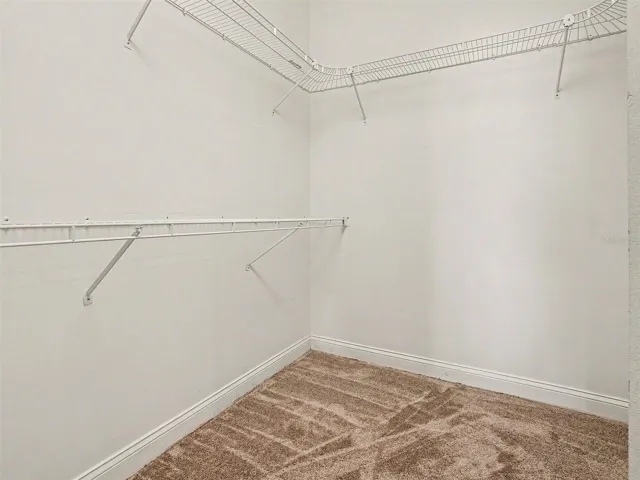 Primary BR Walk-in closet
