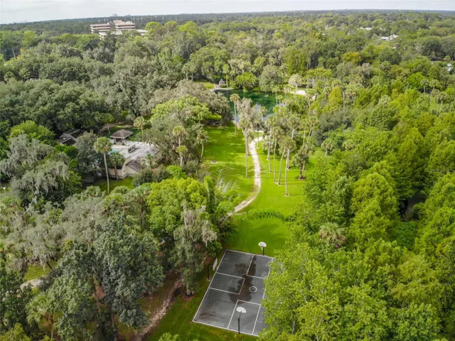Aerial View of The Springs and Basketball Court