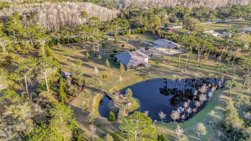 Birds Eye View