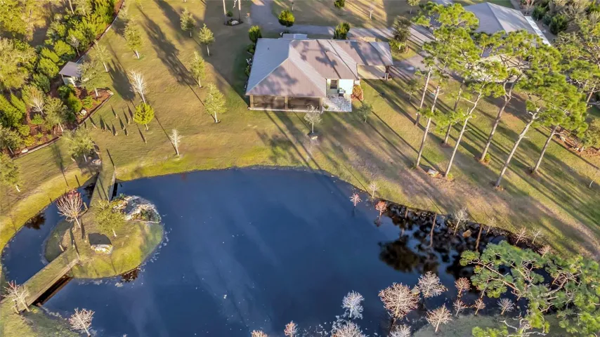 Birds Eye View
