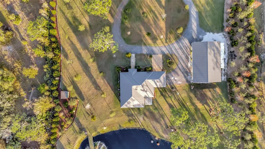 Birds Eye View