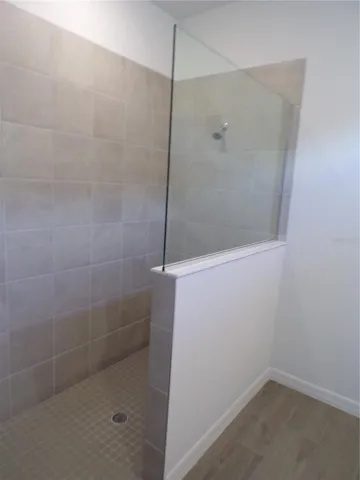 Stand up shower - primary bath