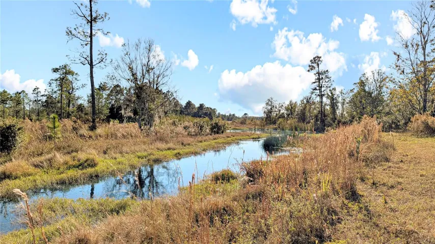 North Side of Large Pond looking South towards Entrance on Bishop Road...this is the view you would have from your Front Yard when you Build a Home here!
