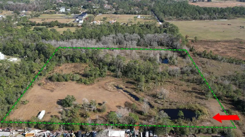 Your Driveway would go down the left side of the pond to the large already-cleared Field in the upper Left of the picture.