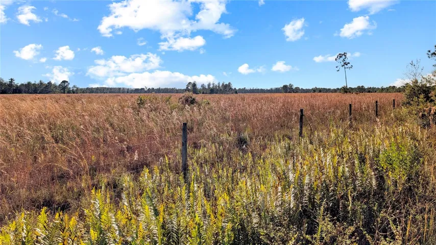 This a view from Bishop road of the extensive Pasture-Land directly to the South of your land....open, un-developed Pasture that goes on for Miles and Miles with NO Neighbors! Say Yes!
