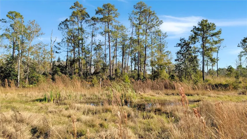 This is the second on-site Pond to the right of the very visible pond in the South-west Corner of your land...past the pond is a view of the 5+ Acres of  Un-Cleared on the East side of the property.