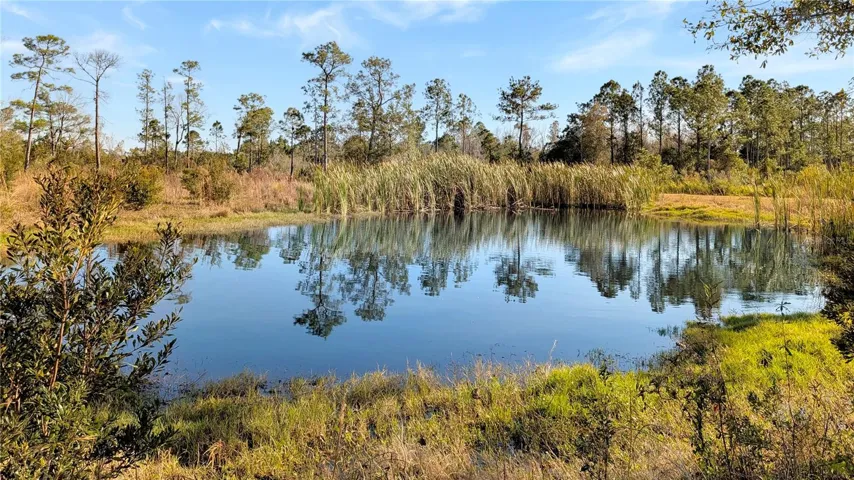 Property comes with 2 On-Site Ponds!