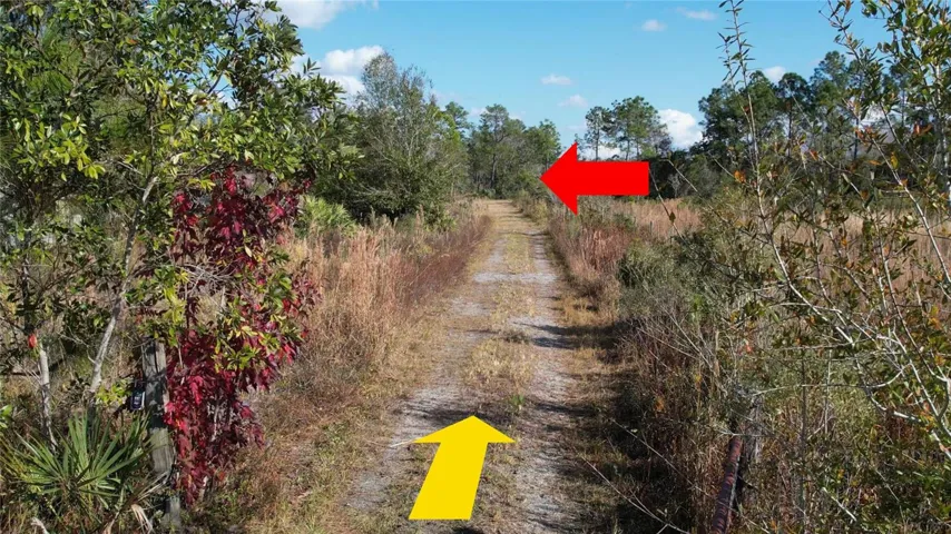 Entrance road Looking Down Bishop from Entrance on Roy Berry Rd ( Yellow Arrow) looking down to where your Driveway will be ( Red Arrow)