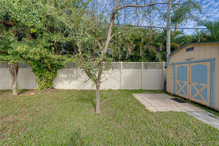 Fenced Yard