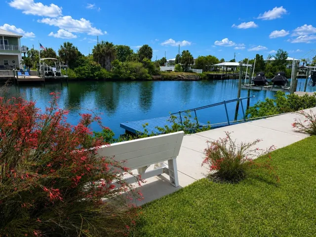 Seawall, Seats and Floating Dock