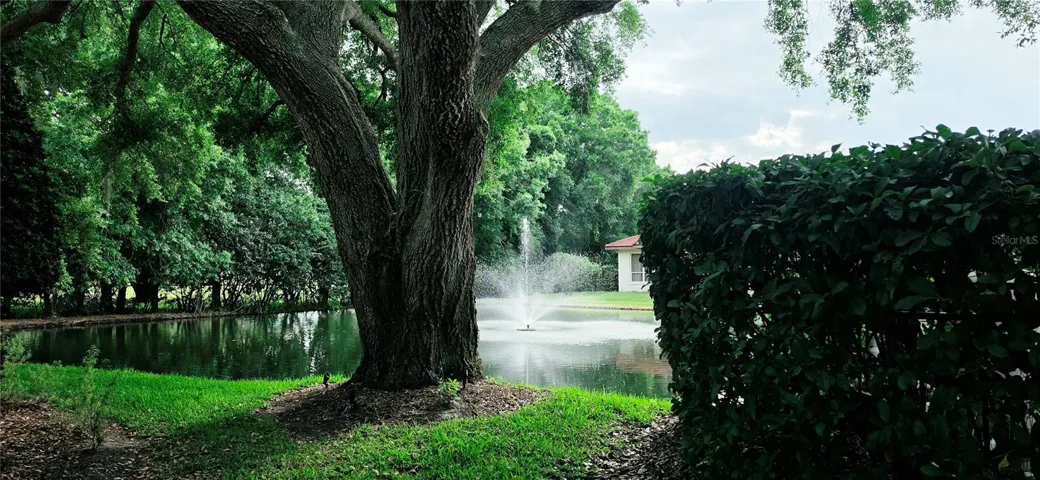 West side of yard pond and fountain