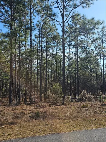 Lightly wooded, buildable 1+ acre lot