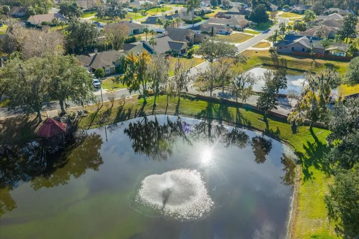 Aerial view of community pond