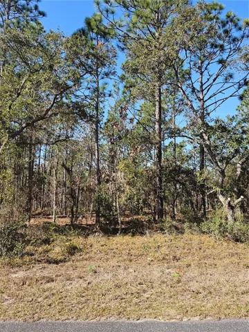 Lightly wooded buildable 1 acre lot