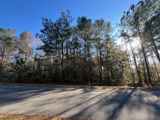 Front of vacant land