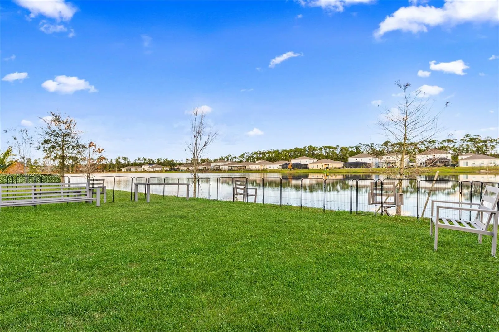 Backyard View