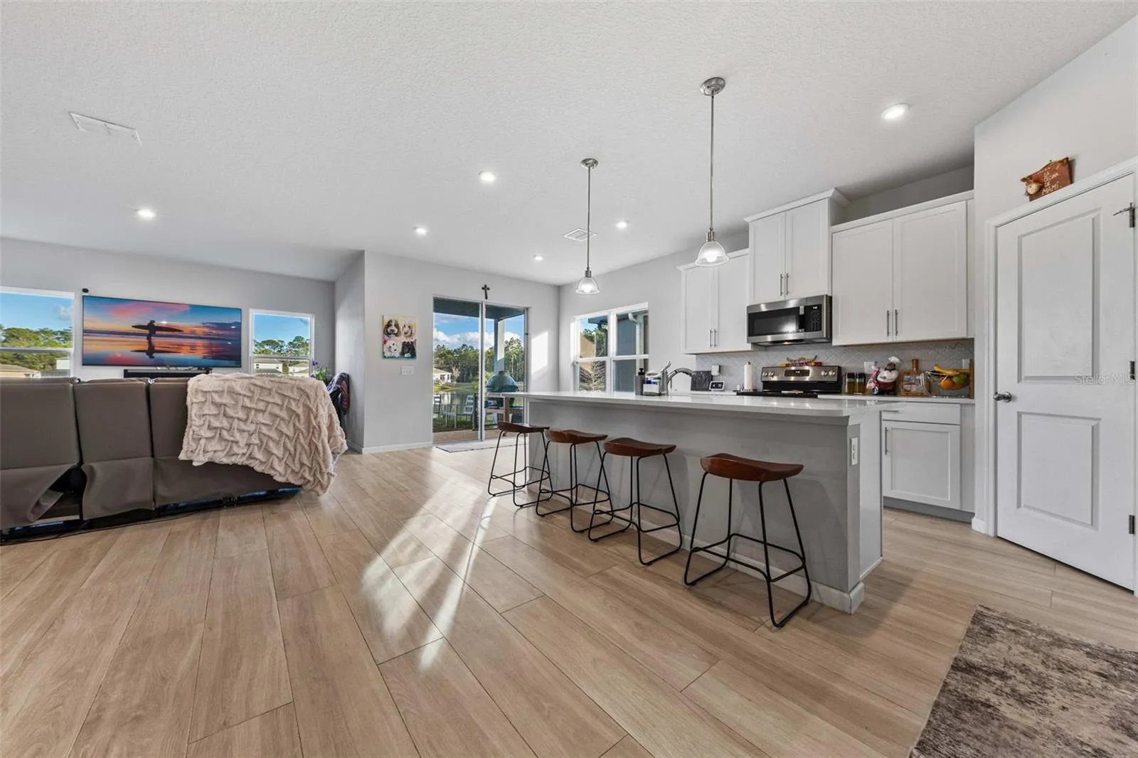 Living room/Kitchen