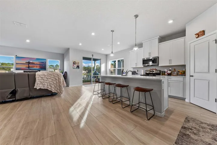 Living room/Kitchen