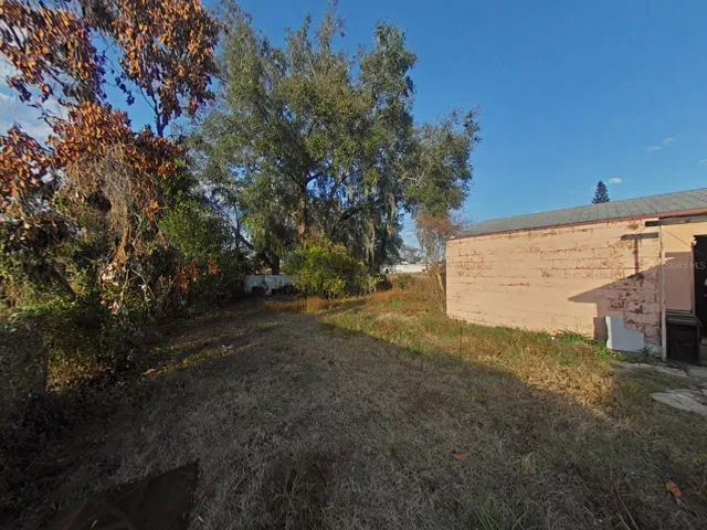 Back yard area
