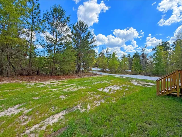 Front yard looking up towards driveway and road