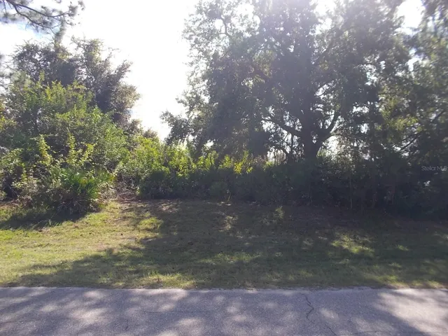 Looking at Lot from the street