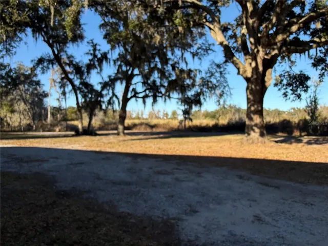 Back yard view
