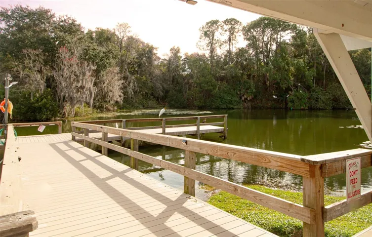 Community dock