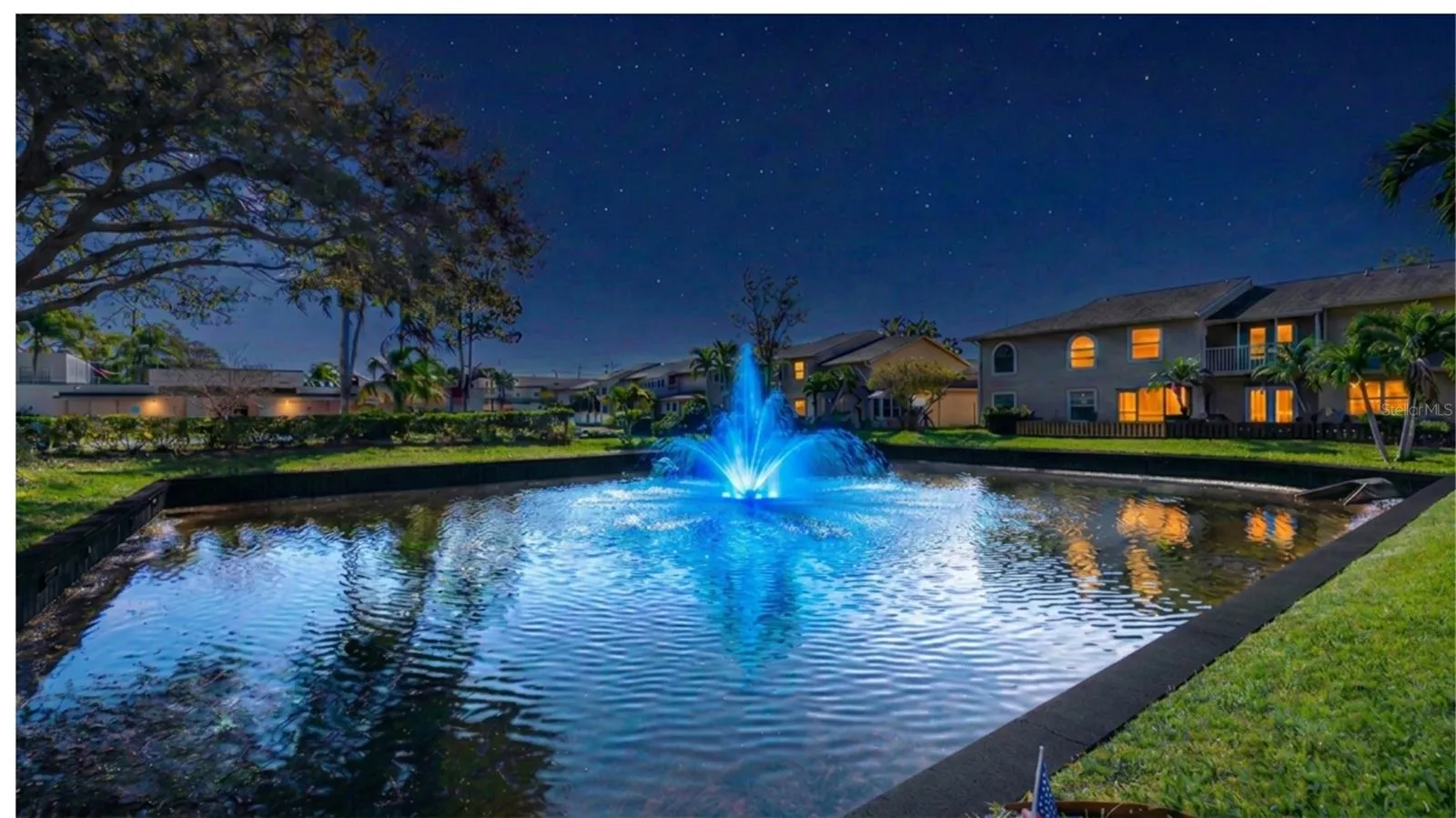 night time pond view