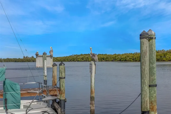 View from dock.