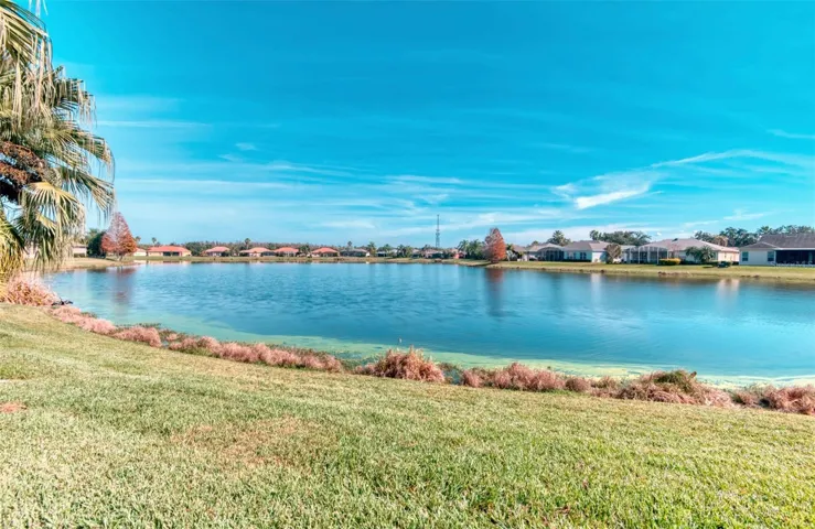 Beautiful pond view out back