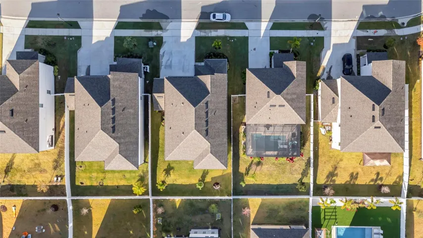Birds Eye View