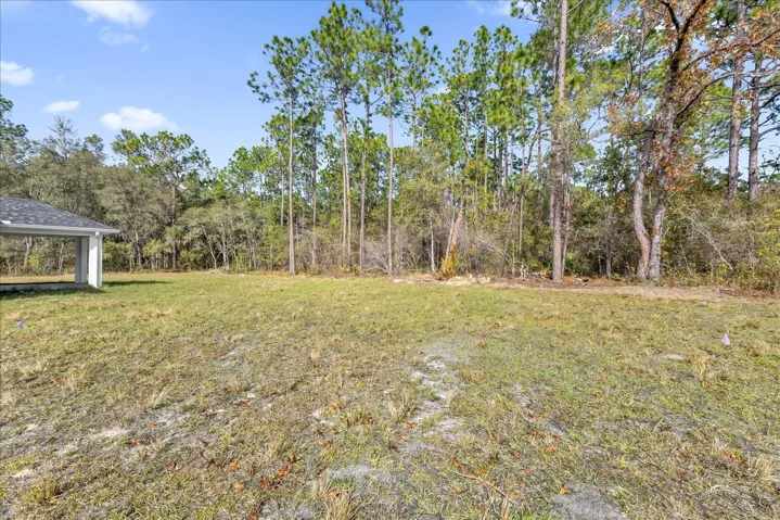 Large Backyard