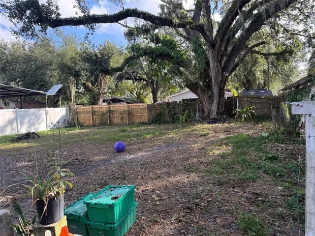 Back yard
