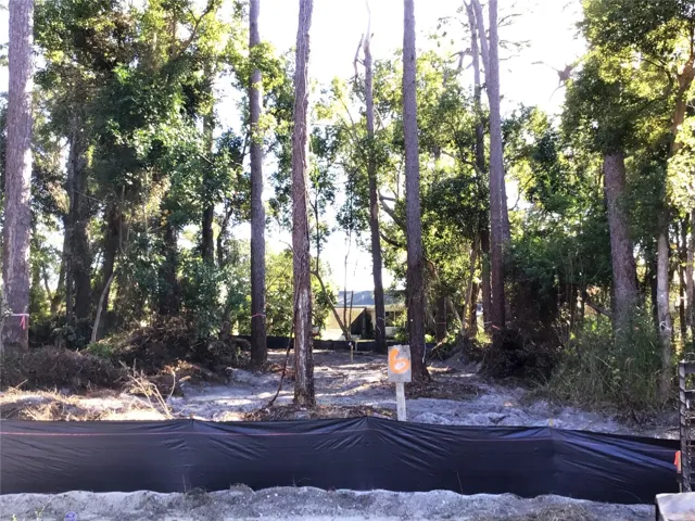 Lot 6
