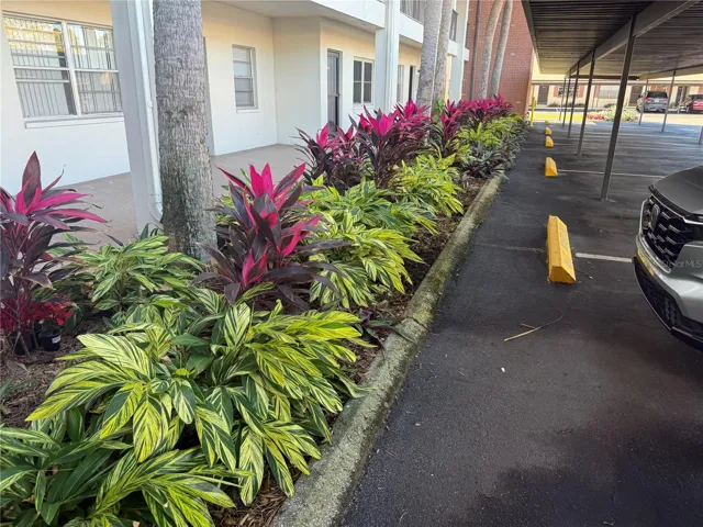 Grounds