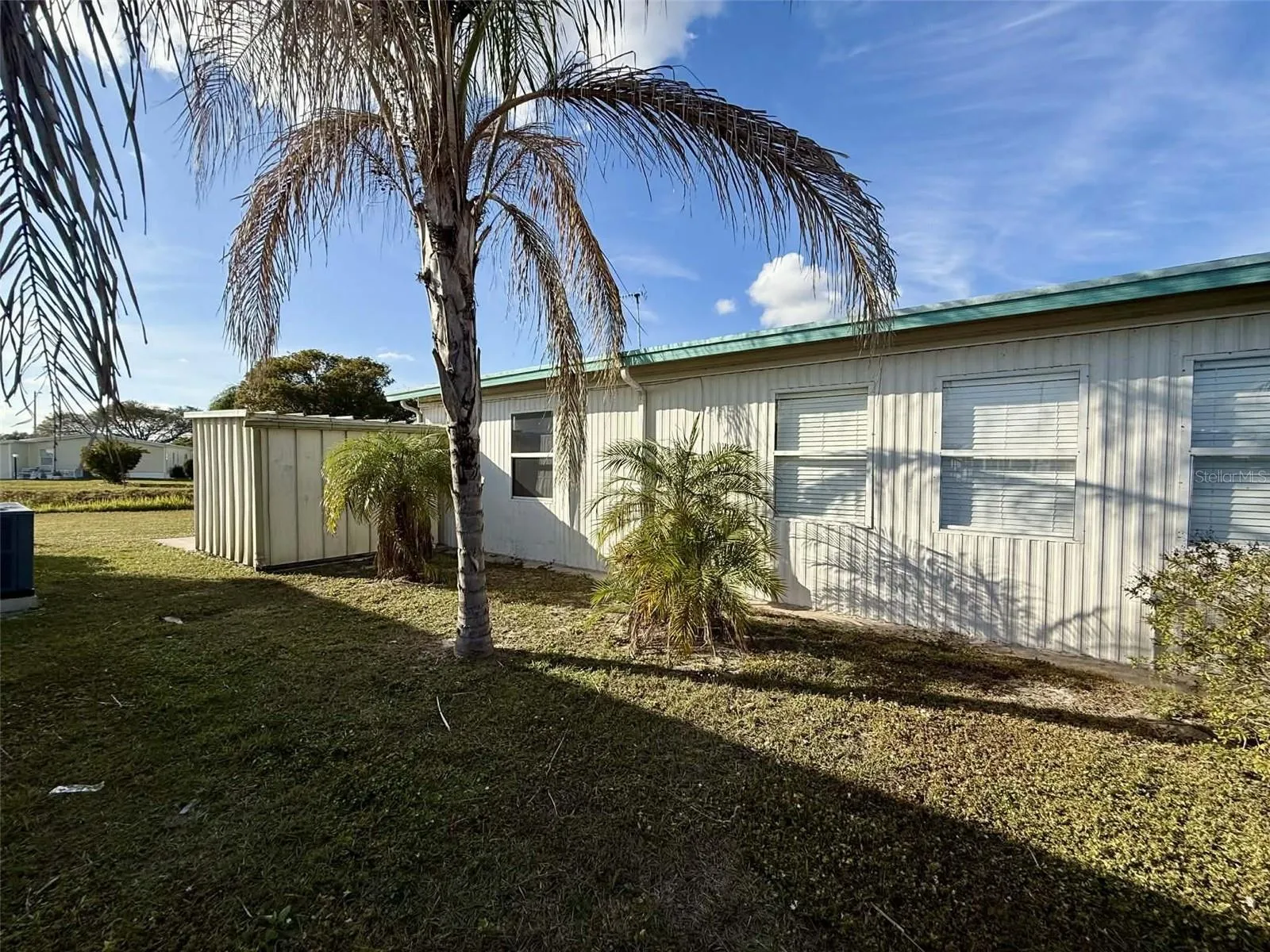 Left side of house