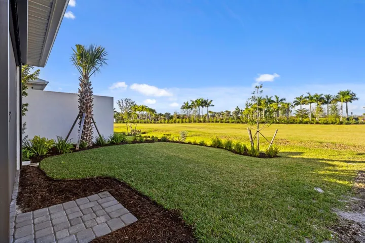 Front yard
