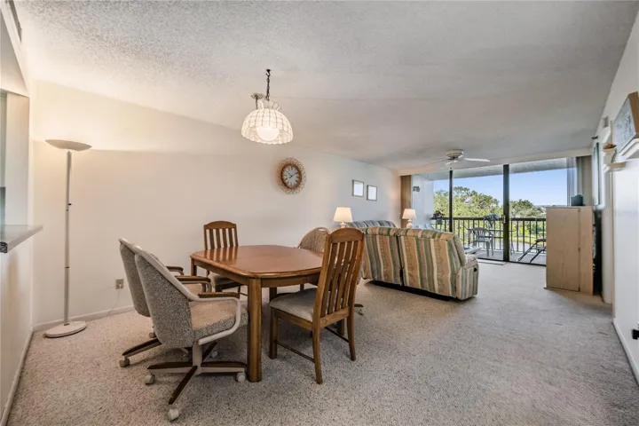 Dining/Living Area