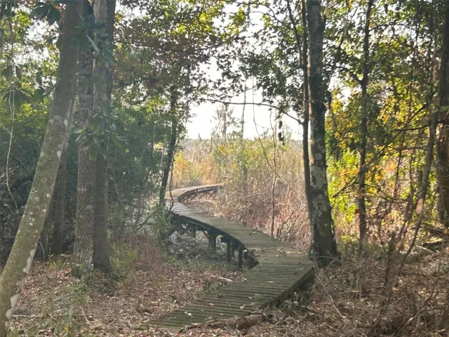 Boardwalk winding through woods