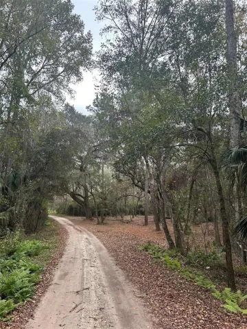 Road on property
