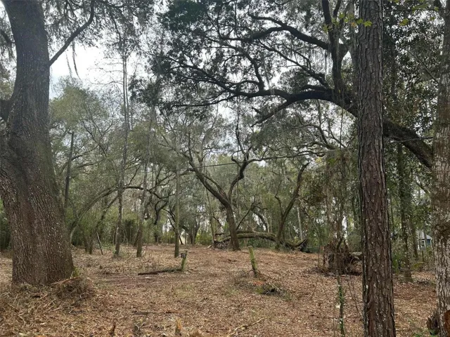 Upland portion of property
